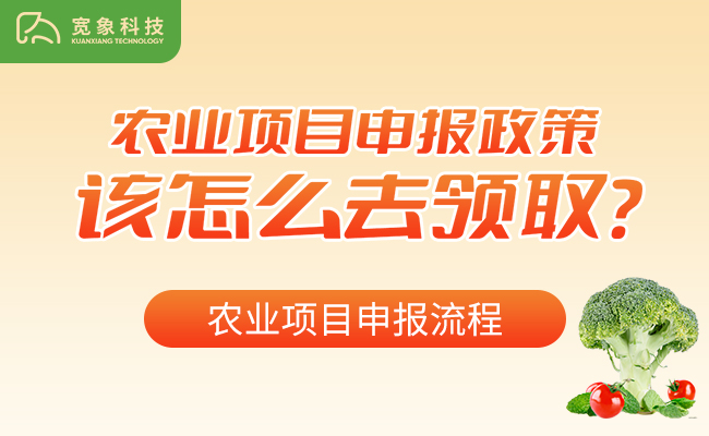 农业项目申报