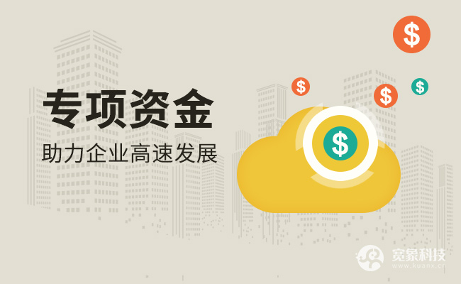 专项资金