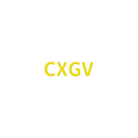 CXGV商标-26类